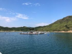 當鄉野迎來全面都市化，是禍是福？──與本地農夫及漁民親身對談