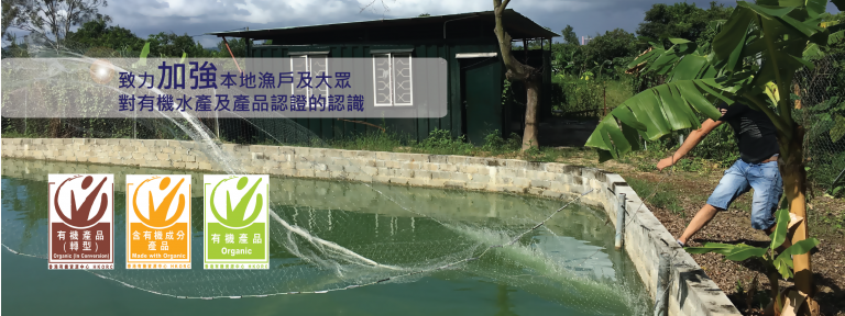 certteam_banner-01-768x288