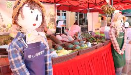 IMG_0128[1]