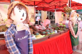 農夫市集、有機西瓜節、美食博覽、食譜創作大賽、有機農業訓練課程、有機大使結業禮、有機水產暑期實習、優質有機零售商頒獎禮、除害劑殘餘研究報告