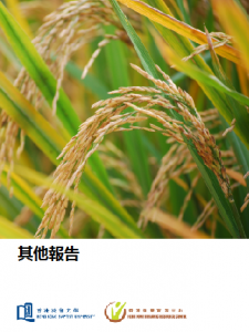 其他-225x300