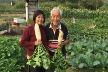 認證有機農場比賽