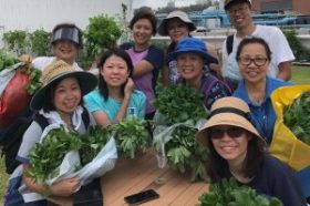 都市有機種植班