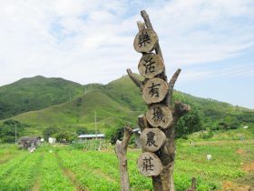 老有所為，退而不休──在農田種出璀璨第二人生 – 樂活有機農莊