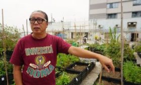 追逐遍城綠頂之夢——「City Farm都市農莊」林世昌先生