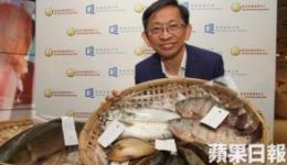 Apple-daily-5內地魚肉樣本含致癌物孔雀石綠-楊屋道街市一桂花魚最毒-300x169