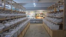 體驗零浪費生活─可持續、有機生活雜貨店Slowood
