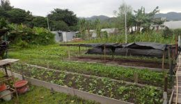 Dragontail-Farm_01-480x320[1]