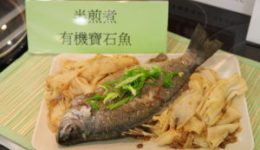 IMG_3763-300x200[1]