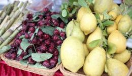 IMG_8933-300x200[1]