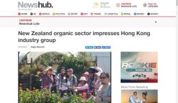 New-Zealand-768x480[1]