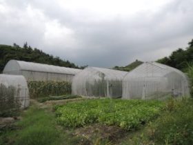 基督教以琳扶植培訓有機農場