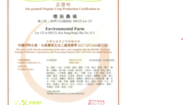cert-300x296[1]