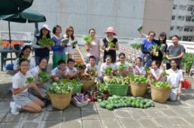 鬧市中的奇跡 — 保良局陳守仁小學有機園圃