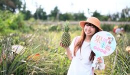 taiwan-3-300x200[1]