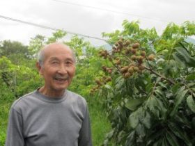 健果桃源，倪錫源