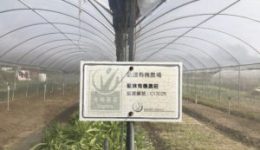 認住認證有機農場個鐵牌，就不會去錯地方-300x225[1]