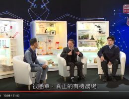 食物傳說篇——香港電台節目「網聞解密」